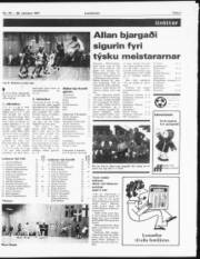 Síða 7