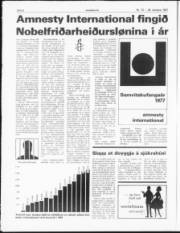 Síða 8