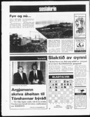 Síða 12