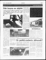 Síða 3