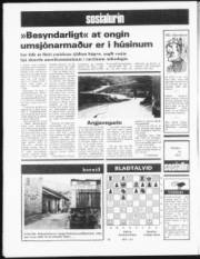 Síða 12
