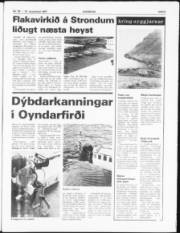 Síða 5