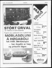 Síða 13