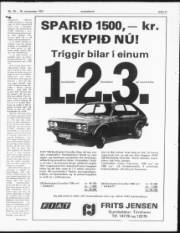 Síða 11