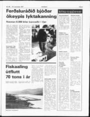 Síða 5