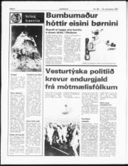 Síða 8