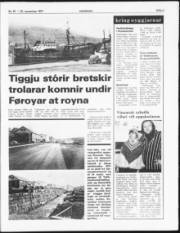 Síða 5