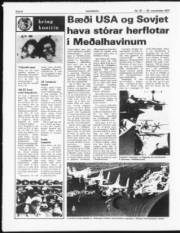Síða 6
