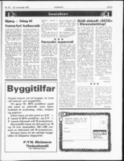 Síða 9