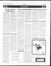 Síða 11