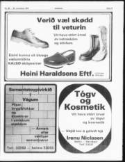 Síða 17