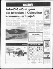 Síða 20