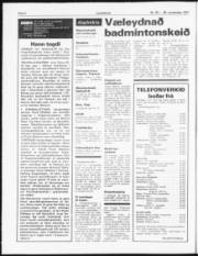 Síða 2