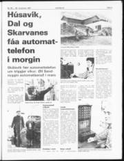 Síða 3