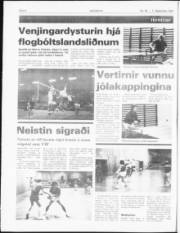 Síða 4