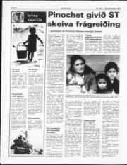 Síða 6