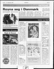 Síða 11