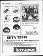 Síða 12