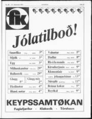 Síða 13