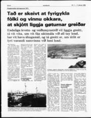 Síða 8