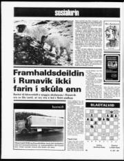 Síða 12