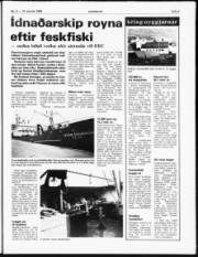 Síða 5