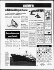 Síða 16