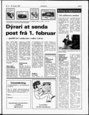 Síða 5