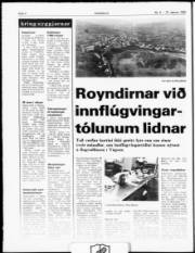 Síða 4