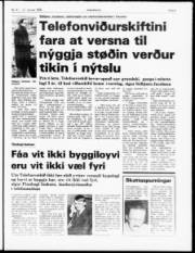 Síða 5