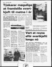 Síða 3