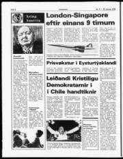 Síða 6