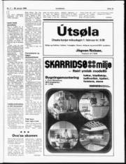 Síða 15