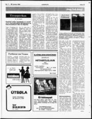 Síða 19