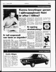Síða 3