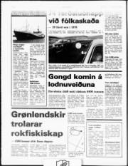Síða 4
