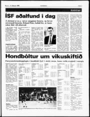 Síða 7
