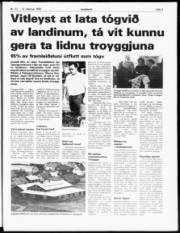 Síða 3