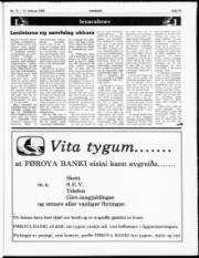 Síða 13