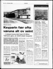 Síða 5
