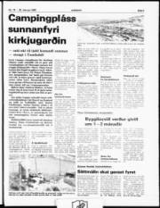 Síða 3