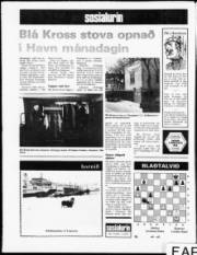 Síða 12