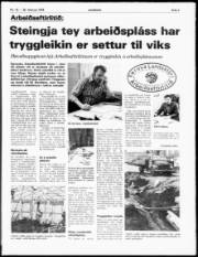 Síða 3