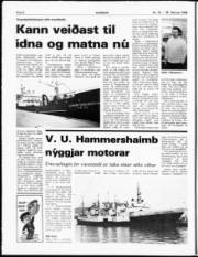Síða 6
