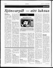 Síða 6