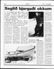 Síða 8