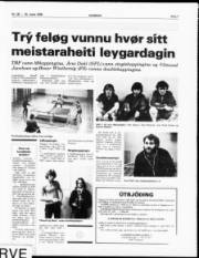 Síða 7