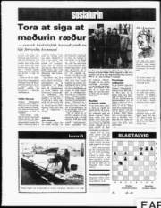 Síða 12