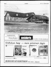 Síða 6