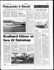 Síða 5